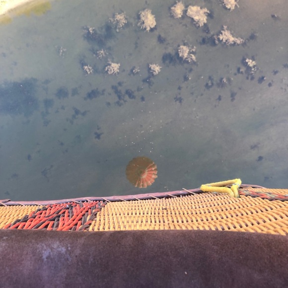 Meet your Posher, Monica - Picture 9 of 11